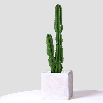 SOGA 2X 95cm Green Artificial Indoor Cactus Tree Fake Plant Simulation Decorative 2 Heads • LUZ-APlantFH9502X2
