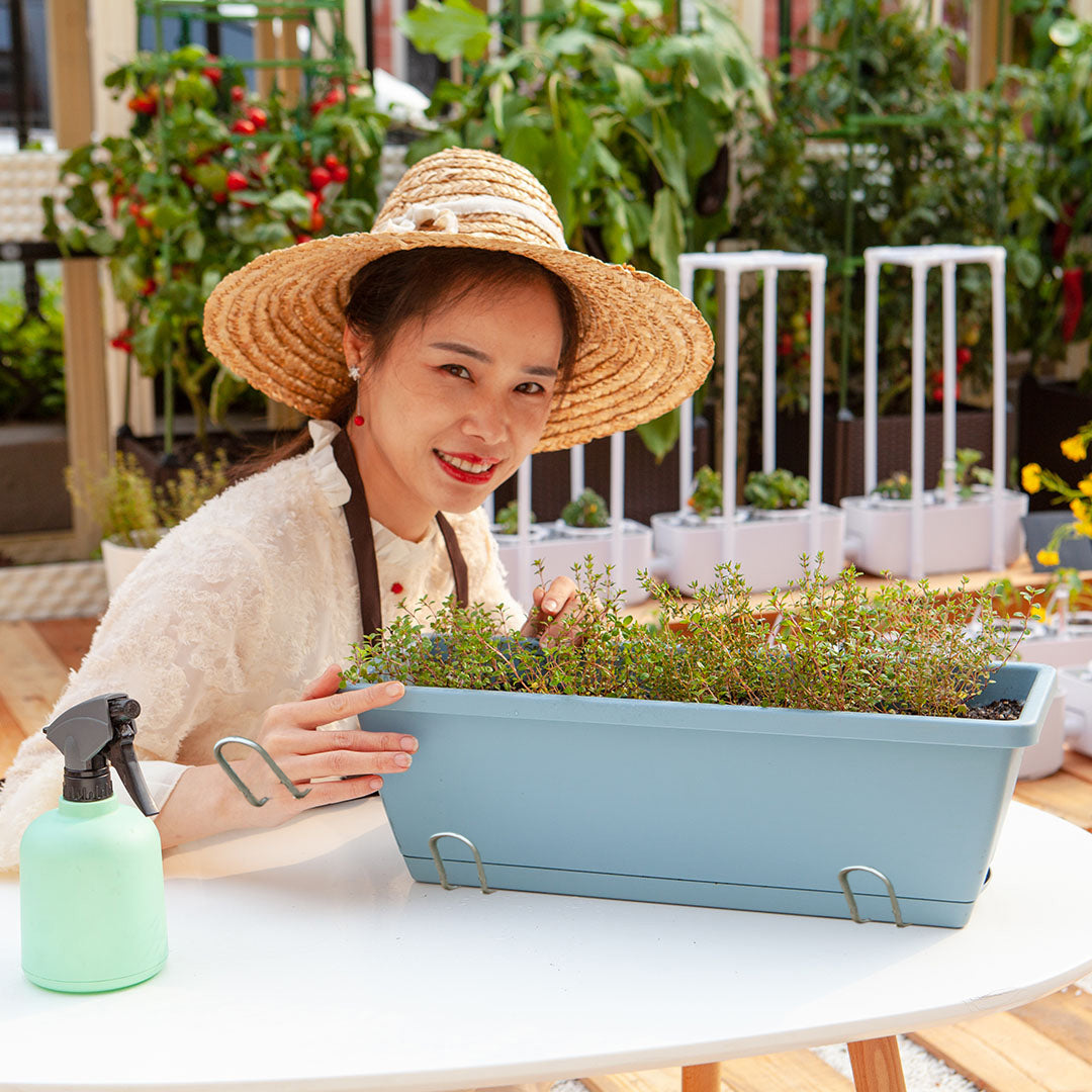 SOGA 49.5cm Blue Rectangular Planter Vegetable Herb Flower Outdoor Plastic Box with Holder Balcony Garden Decor Set of 5 • LUZ-PlantBox5W