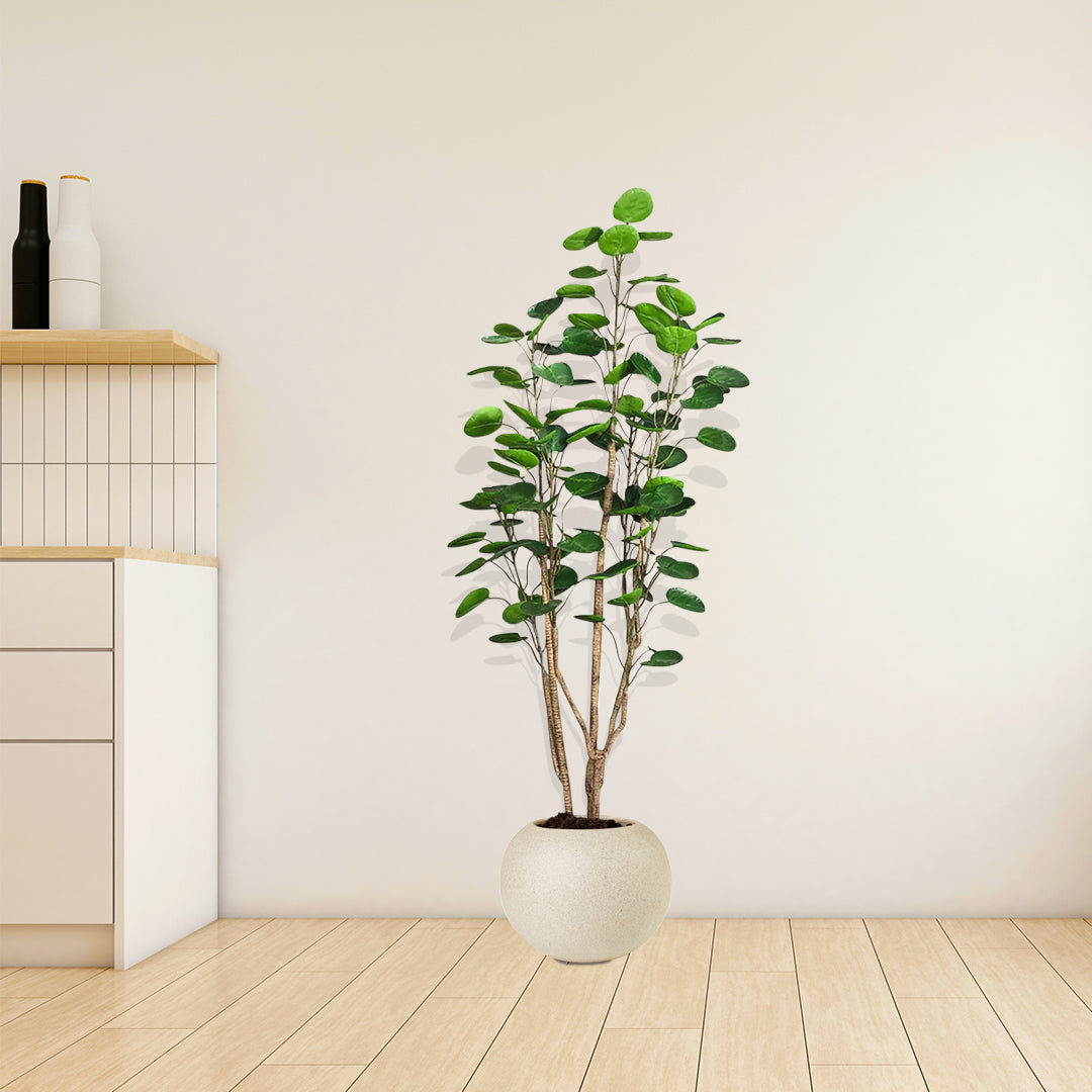 SOGA 150cm Plastic Potted Polyscias Scutellaria Plant Home Garden Artificial Tree, Home Decor • LUZ-APlantFHJQD150102