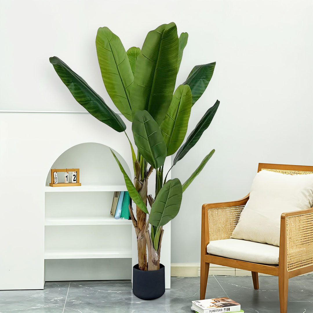 SOGA 220cm Banna Plant Bird of Paradise Tree Artificial Plant Home Accent Decor • LUZ-APlantBJS220