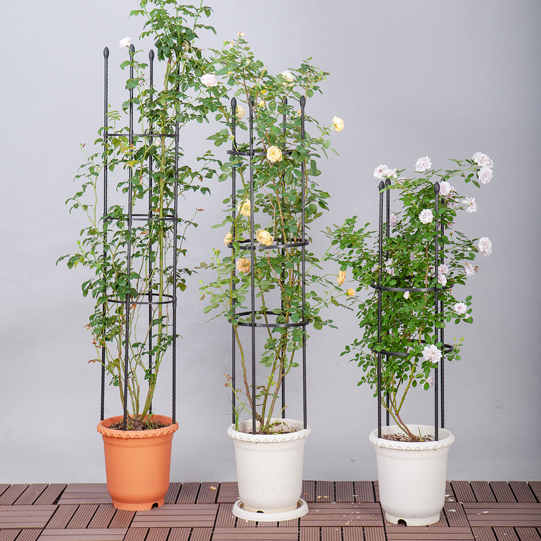 SOGA 2X 133cm 4-Bar Plant Frame Stand Trellis Vegetable Flower Herbs Outdoor Vine Support Garden Rack with Rings • LUZ-PlantTube133X2