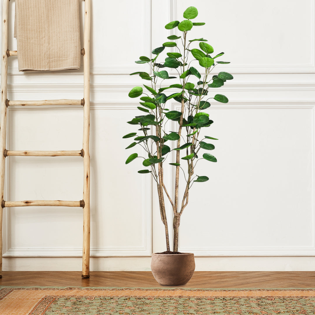 SOGA 4X 180cm Plastic Potted Polyscias Scutellaria Plant Home Garden Artificial Tree, Home Decor • LUZ-APlantFHJQD18080X4