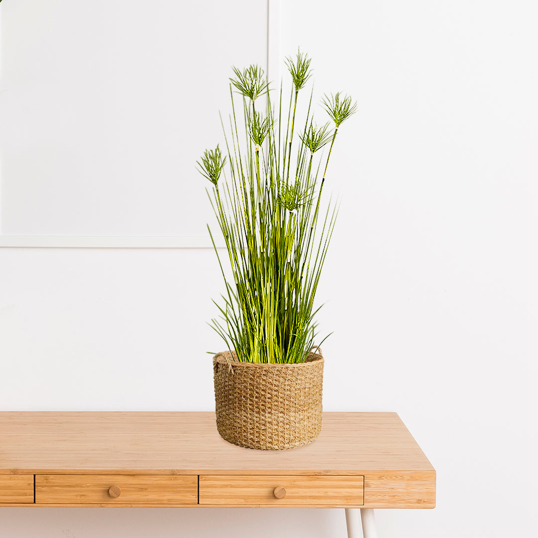 SOGA 150cm Cyperus Papyrus Plant Tree Artificial Green Grass, Home Or Office Indoor Greenery Accent • LUZ-APlantFH60142