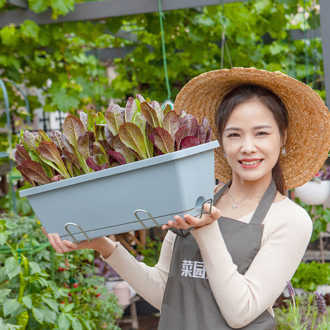 SOGA 49.5cm Blue Rectangular Planter Vegetable Herb Flower Outdoor Plastic Box with Holder Balcony Garden Decor Set of 5 • LUZ-PlantBox5W