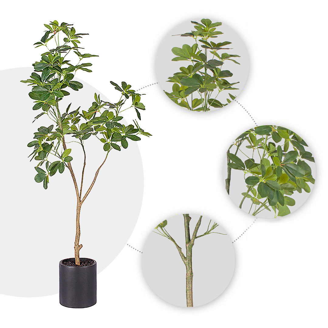 SOGA 4X 160cm Artificial Natural Green Schefflera Dwarf Umbrella Tree Fake Tropical Indoor Plant Home Office Decor • LUZ-APlantQXY160X4