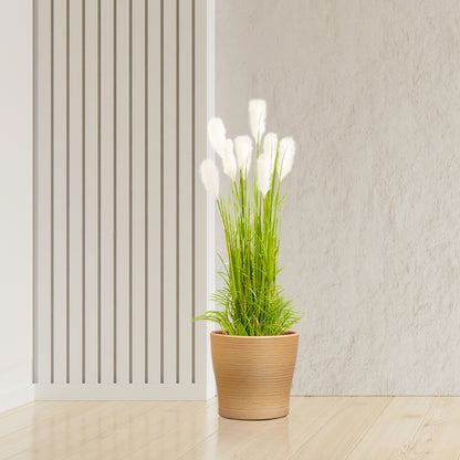 SOGA 2X 150cm Wheat Plume Grass Artificial Plant, Home Decor • LUZ-APlantFH6003X2