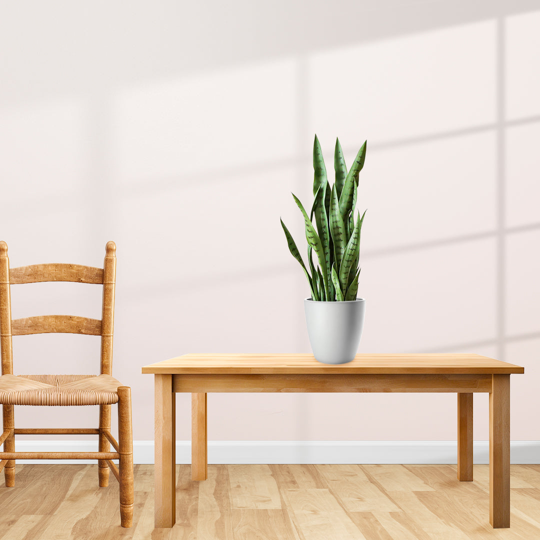SOGA 4X 97cm Sansevieria Snake Artificial Plants with Black Plastic Planter Greenery, Home Office Decor • LUZ-APlantFH9712X4