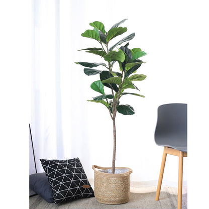 SOGA 2X 155cm Green Artificial Indoor Qin Yerong Tree Fake Plant Simulation Decorative • LUZ-APlantFH15536X2