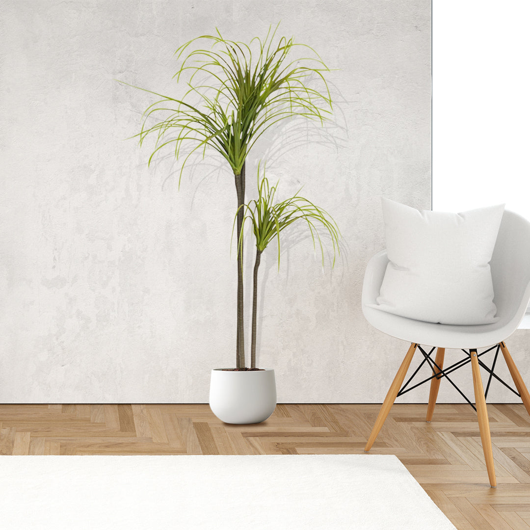 SOGA 2X 145cm Artificial Dracaena Plant Fake Potted, Simulation Tree Fake Plant Home Decor • LUZ-APlantFHL15584X2