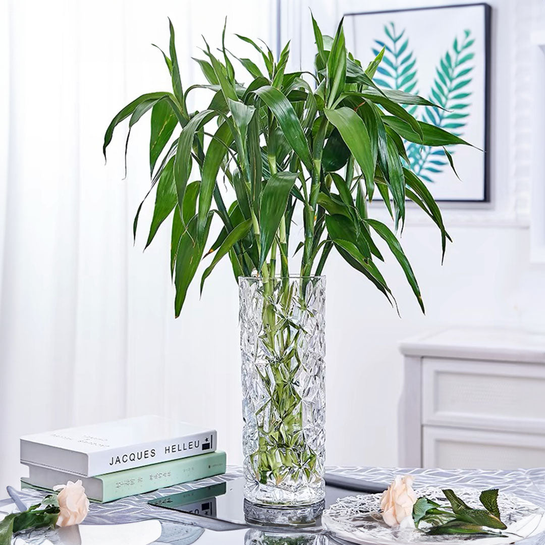 SOGA 30cm Sleek Clear Glass Vase Elegant Wide Crystal Design for Modern Home Décor • LUZ-GVaseClearSML