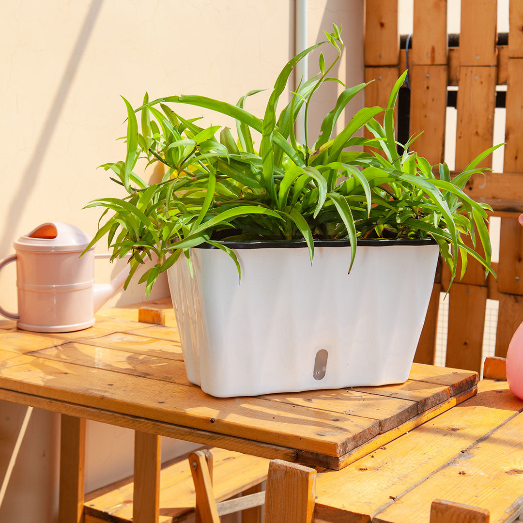 SOGA 35cm Small White Rectangular Flowerpot Vegetable Herb Flower Outdoor Plastic Box Garden Decor • LUZ-PlantBox3K