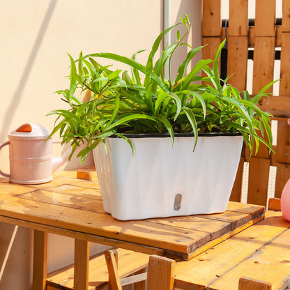 SOGA 35cm Small White Rectangular Flowerpot Vegetable Herb Flower Outdoor Plastic Box Garden Decor • LUZ-PlantBox3K