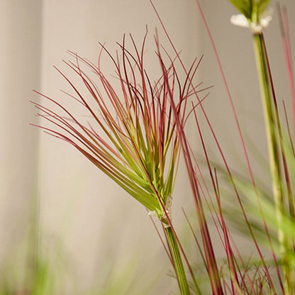 SOGA 4X 150cm Purple-Red Artificial Indoor Potted Papyrus Plant Tree Fake Simulation Decorative • LUZ-APlantFH60339X4