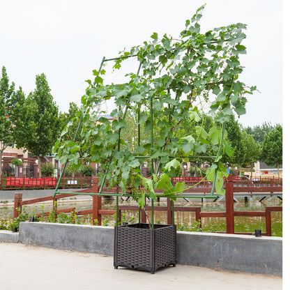 SOGA 160cm Rectangular Inclined Plant Frame Tube Pergola Trellis Vegetable Flower Herbs Outdoor Vine Support Garden Rack • LUZ-PlantTube5P