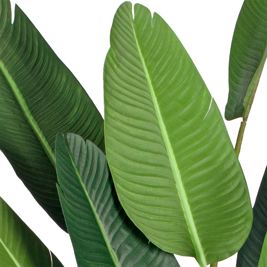 SOGA 220cm Artificial Giant Green Birds of Paradise Tree Fake Tropical Indoor Plant Home Office Decor • LUZ-APlantM22013