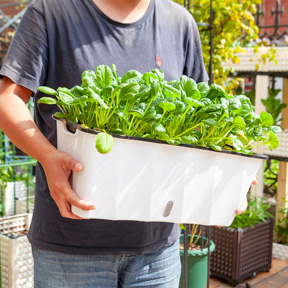 SOGA 2X Large White Rectangular Flowerpot Vegetable Herb Flower Outdoor Plastic Box Garden Decor • LUZ-PlantBox2K