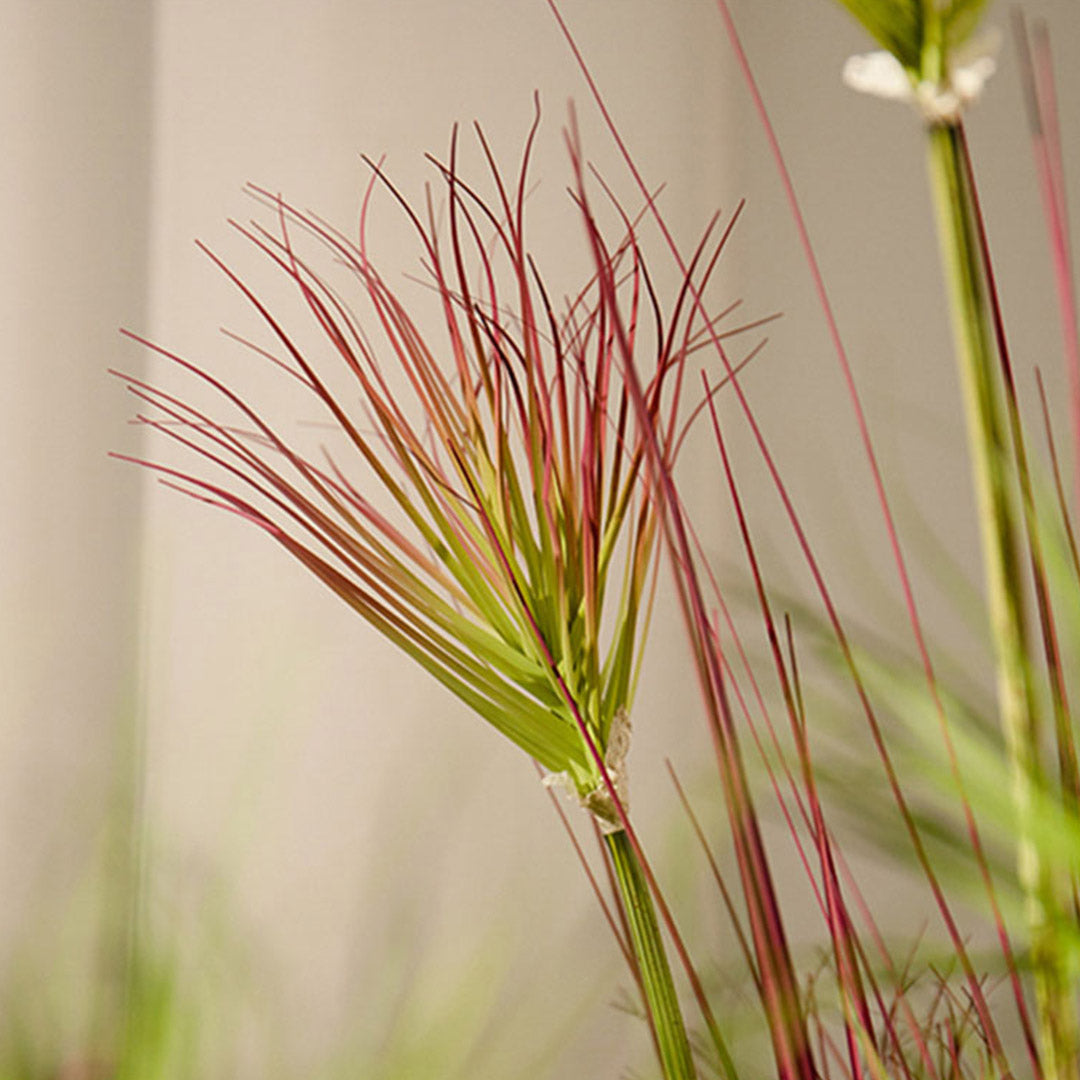 SOGA 120cm Purple-Red Artificial Indoor Potted Papyrus Plant Tree Fake Simulation Decorative • LUZ-APlantFH60152