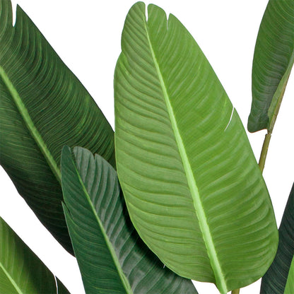 SOGA 2X 220cm Artificial Giant Green Birds of Paradise Tree Fake Tropical Indoor Plant Home Office Decor • LUZ-APlantM22013X2