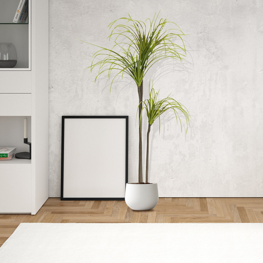 SOGA 4X 145cm Artificial Dracaena Plant Fake Potted, Simulation Tree Fake Plant Home Decor • LUZ-APlantFHL15584X4