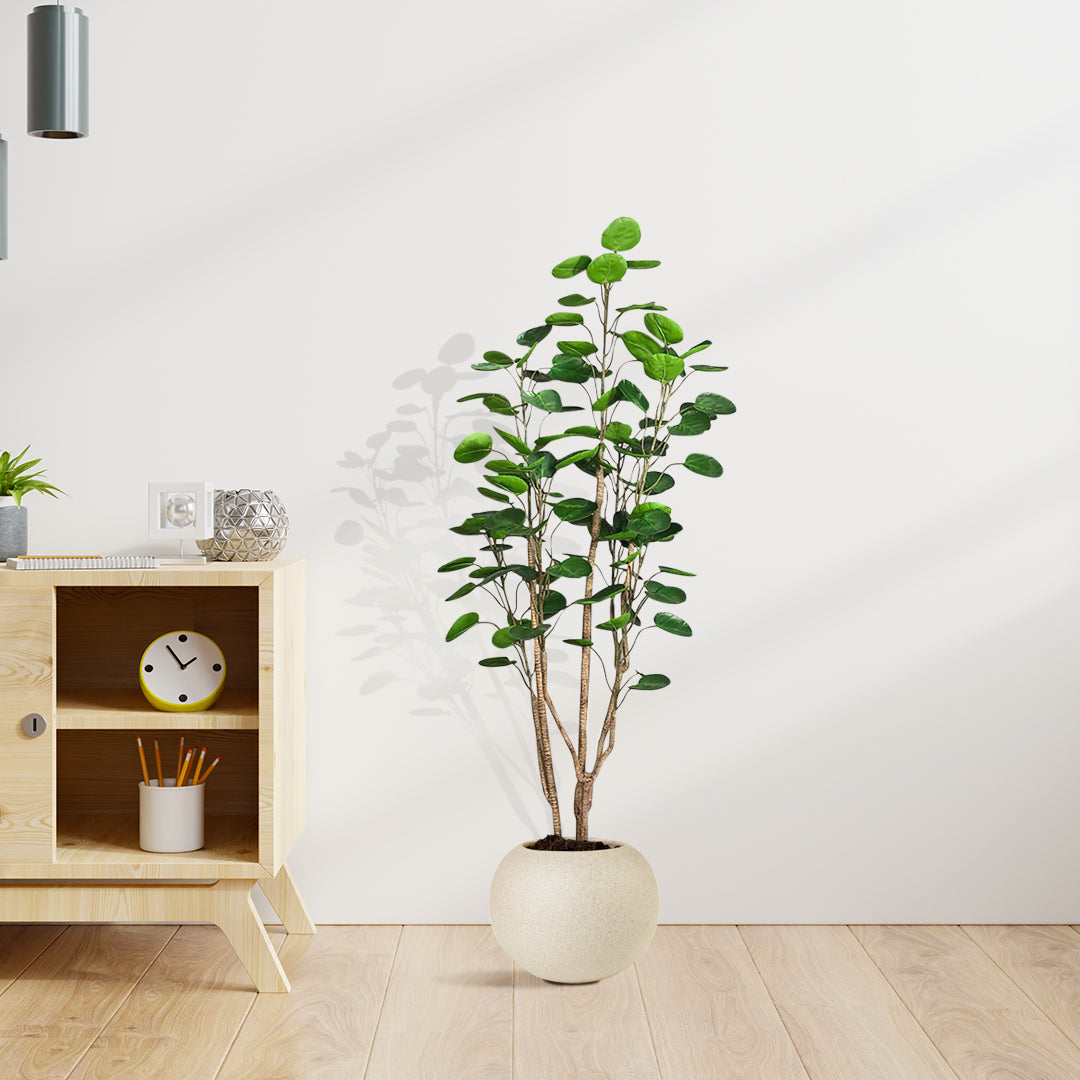 SOGA 150cm Plastic Potted Polyscias Scutellaria Plant Home Garden Artificial Tree, Home Decor • LUZ-APlantFHJQD150102