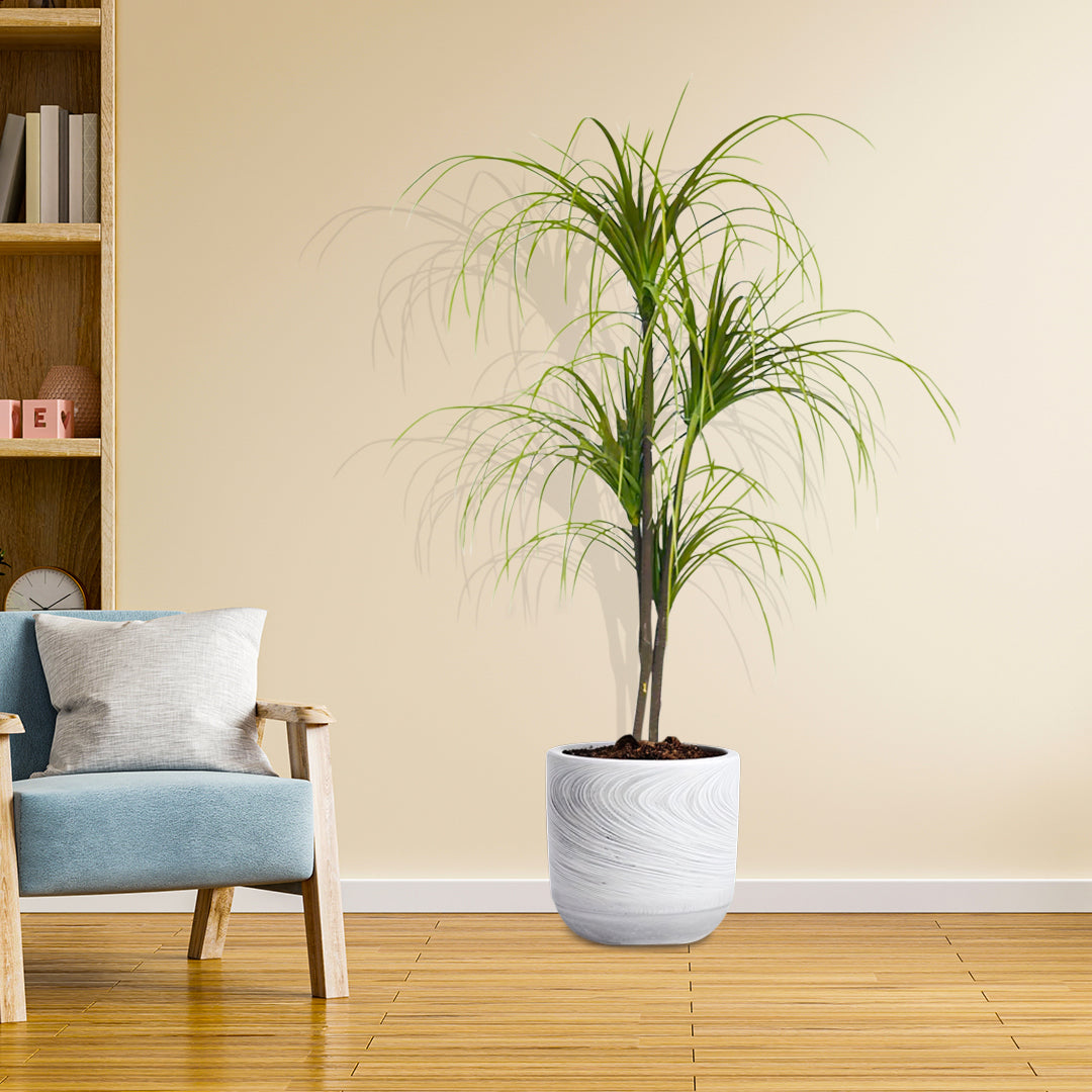 SOGA 150cm Artificial Dracaena Plant Fake Potted, Simulation Tree Fake Plant Home Decor • LUZ-APlantFHL1504