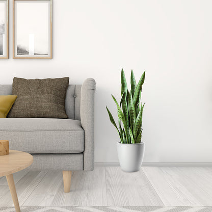 SOGA 2X 97cm Sansevieria Snake Artificial Plants with Black Plastic Planter Greenery, Home Office Decor • LUZ-APlantFH9712X2