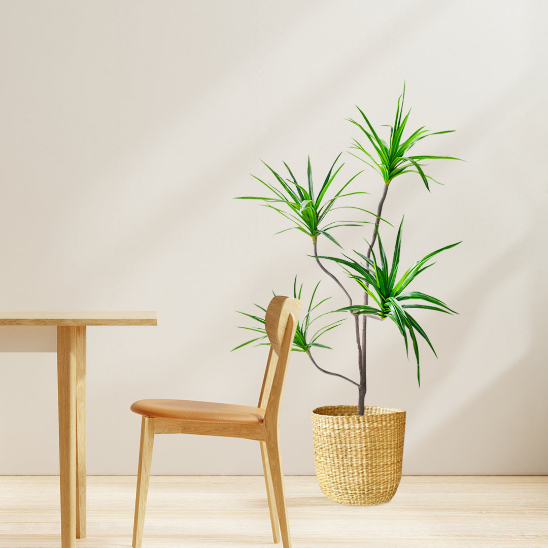 SOGA 180cm Realistic Artificial Dracaena, Rubberised Silk Cloth + Iron Wire, Home Decor • LUZ-APlantFHBS180120