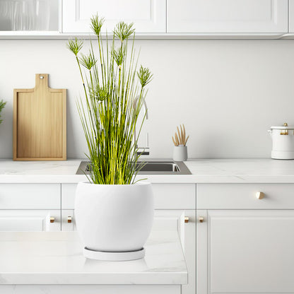 SOGA 4X 150cm Cyperus Papyrus Plant Tree Artificial Green Grass, Home Or Office Indoor Greenery Accent • LUZ-APlantFH60142X4