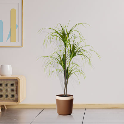 SOGA 150cm Artificial Dracaena Plant Fake Potted, Simulation Tree Fake Plant Home Decor • LUZ-APlantFHL1504