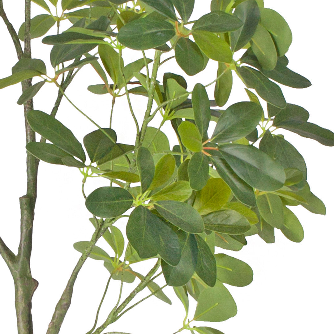 SOGA 4X 160cm Artificial Natural Green Schefflera Dwarf Umbrella Tree Fake Tropical Indoor Plant Home Office Decor • LUZ-APlantQXY160X4