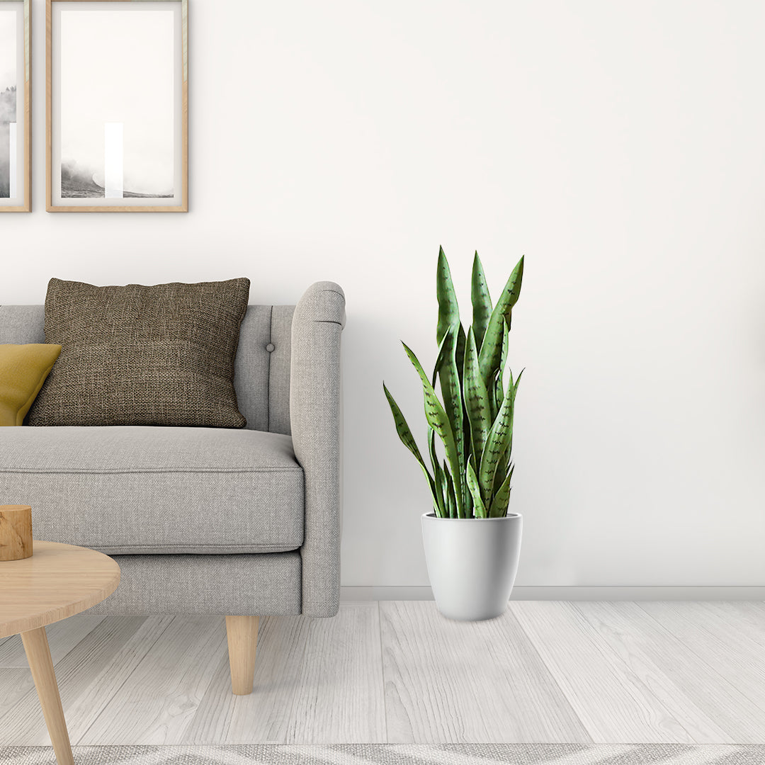 SOGA 4X 97cm Sansevieria Snake Artificial Plants with Black Plastic Planter Greenery, Home Office Decor • LUZ-APlantFH9712X4