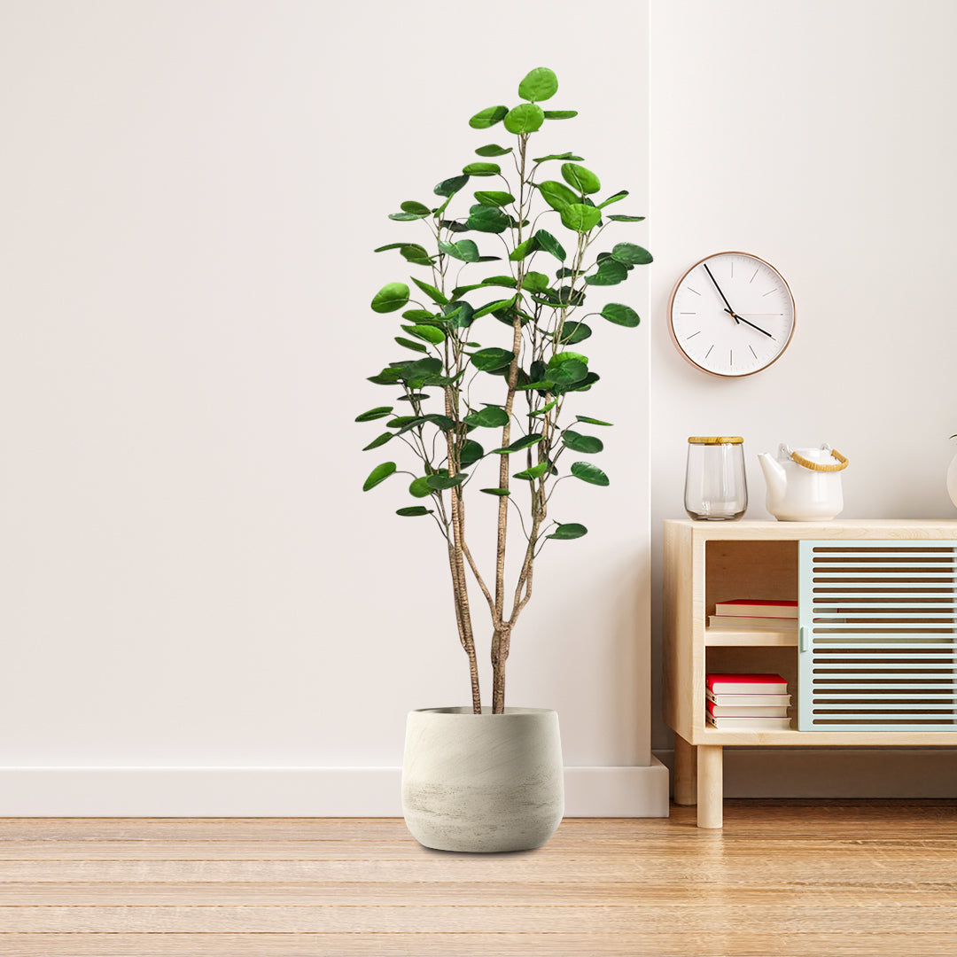 SOGA 180cm Plastic Potted Polyscias Scutellaria Plant Home Garden Artificial Tree, Home Decor • LUZ-APlantFHJQD18080