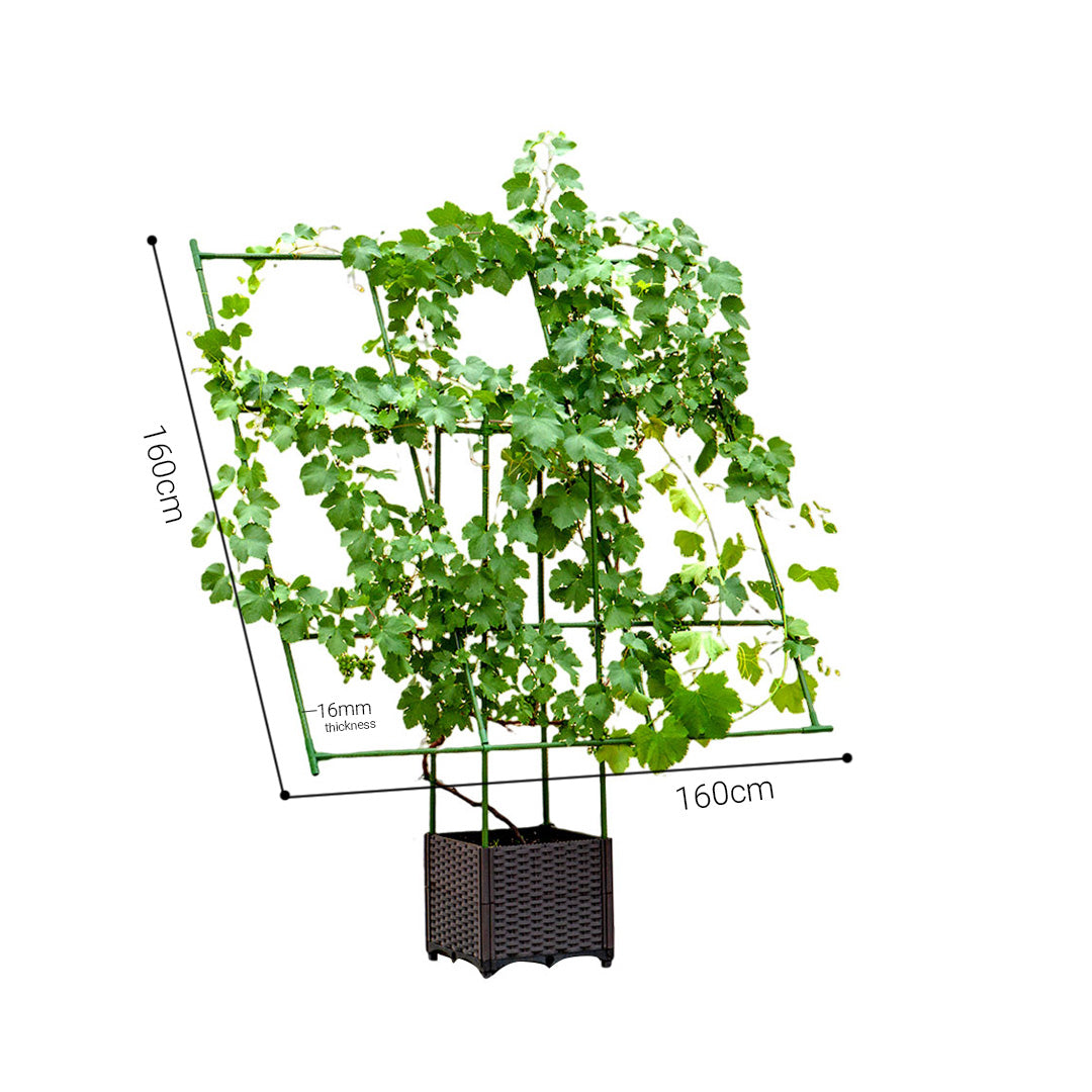 SOGA 160cm Rectangular Inclined Plant Frame Tube Pergola Trellis Vegetable Flower Herbs Outdoor Vine Support Garden Rack • LUZ-PlantTube5P