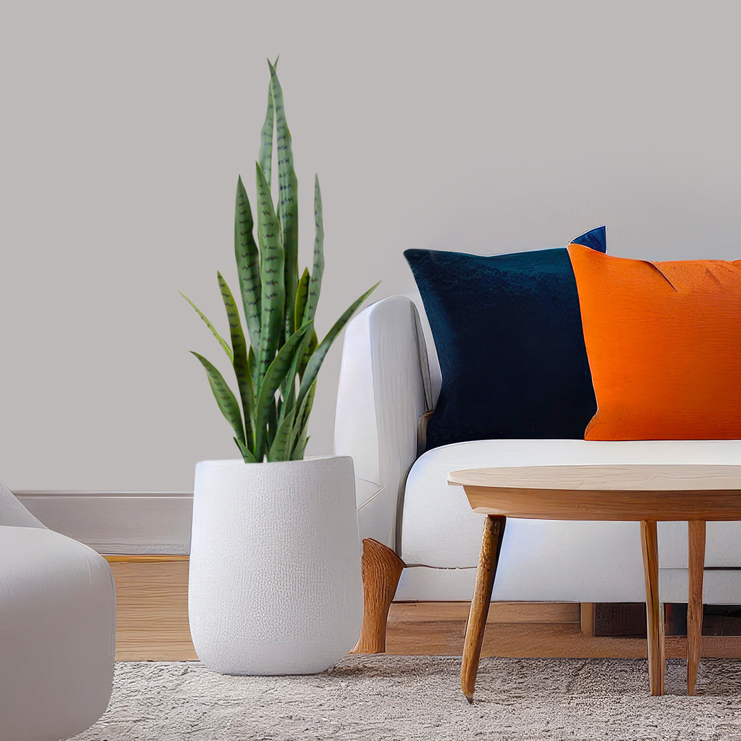 SOGA 95cm Sansevieria Snake Artificial Plants with Black Plastic Planter Greenery, Home Office Decor • LUZ-APlantFH9510