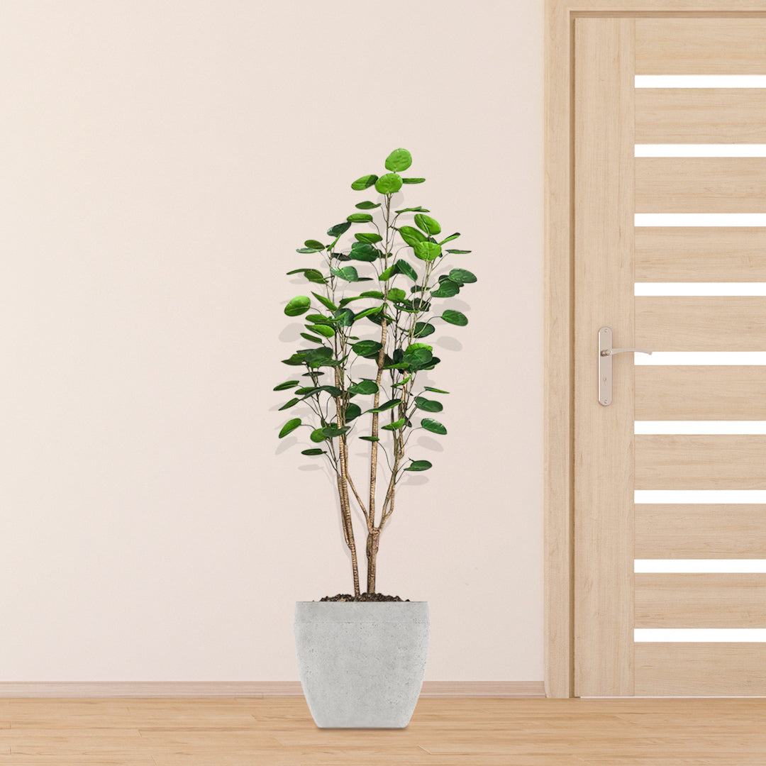 SOGA 150cm Plastic Potted Polyscias Scutellaria Plant Home Garden Artificial Tree, Home Decor • LUZ-APlantFHJQD150102