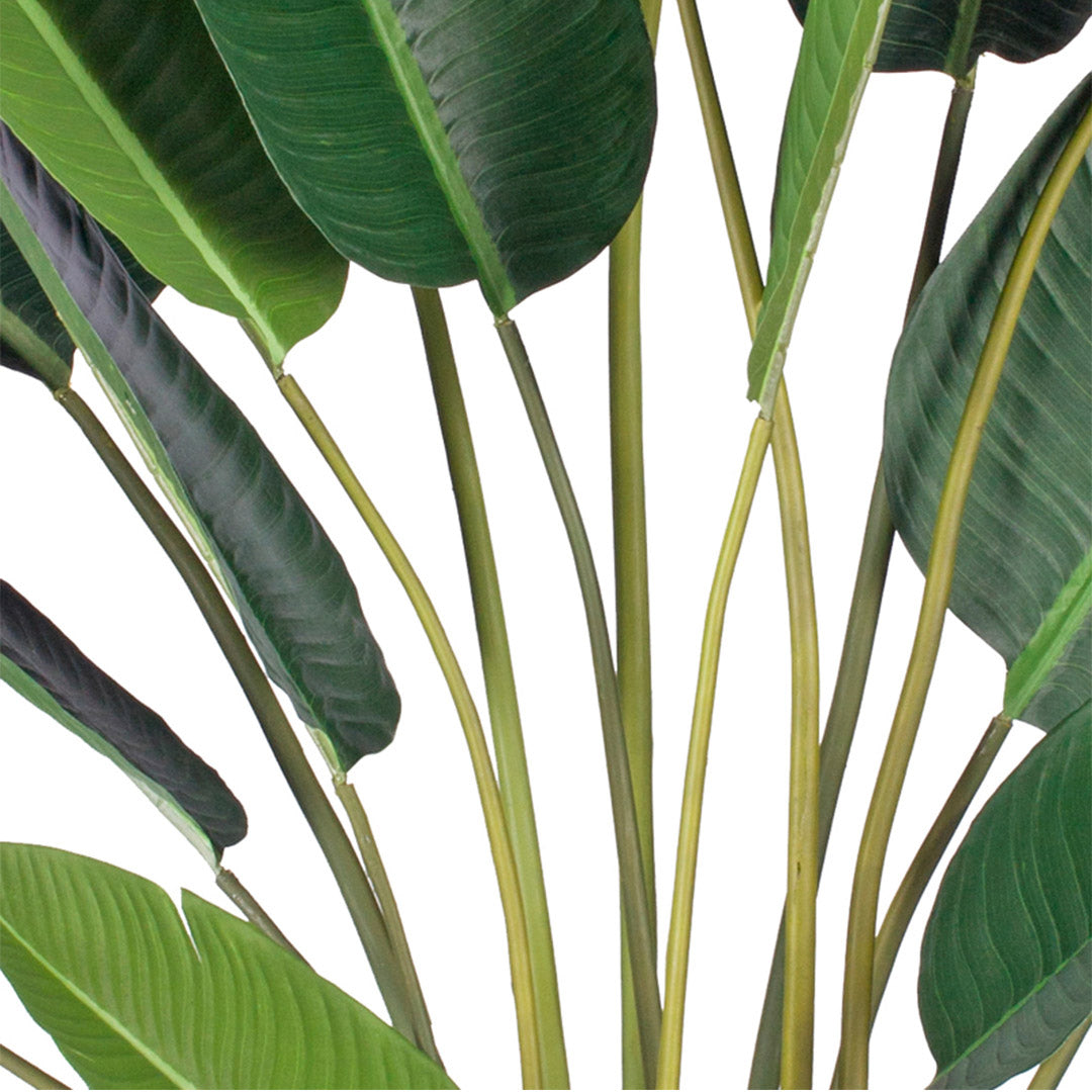 SOGA 220cm Artificial Giant Green Birds of Paradise Tree Fake Tropical Indoor Plant Home Office Decor • LUZ-APlantM22013