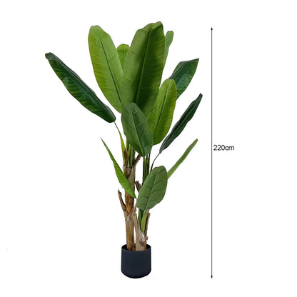 SOGA 2X 220cm Banna Plant Bird of Paradise Tree Artificial Plant Home Accent Decor • LUZ-APlantBJS220X2