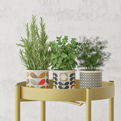 SOGA 2 Layer 50cm Gold Metal Plant Stand Flower Pot Holder Corner Shelving Rack Indoor Display • LUZ-FPotH50GLD