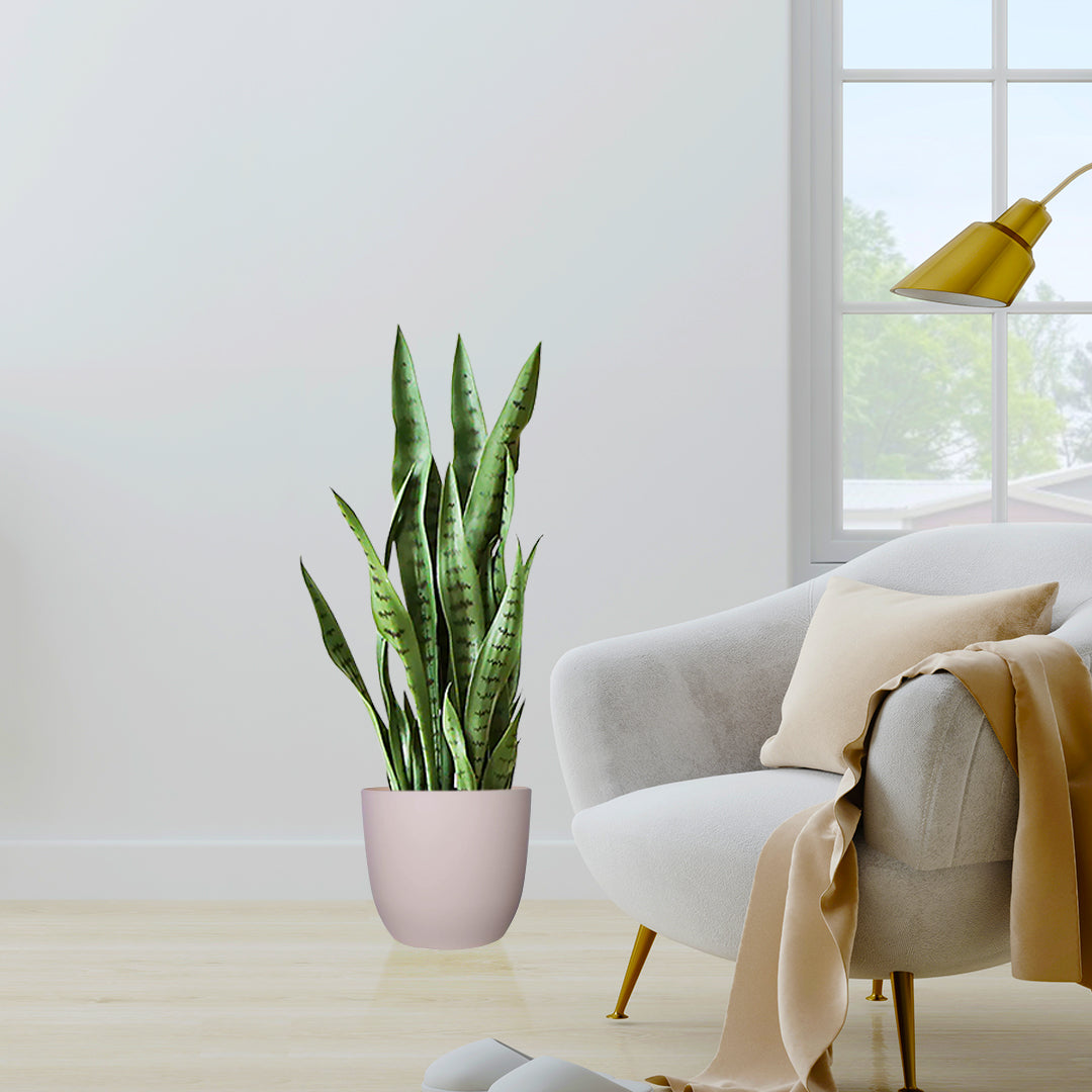 SOGA 4X 97cm Sansevieria Snake Artificial Plants with Black Plastic Planter Greenery, Home Office Decor • LUZ-APlantFH9712X4
