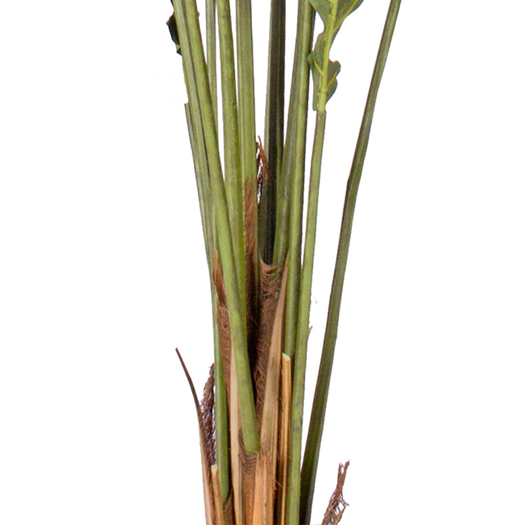 SOGA 4X 160cm Green Artificial Indoor Rogue Areca Palm Tree Fake Tropical Plant Home Office Decor • LUZ-APlant1609X4