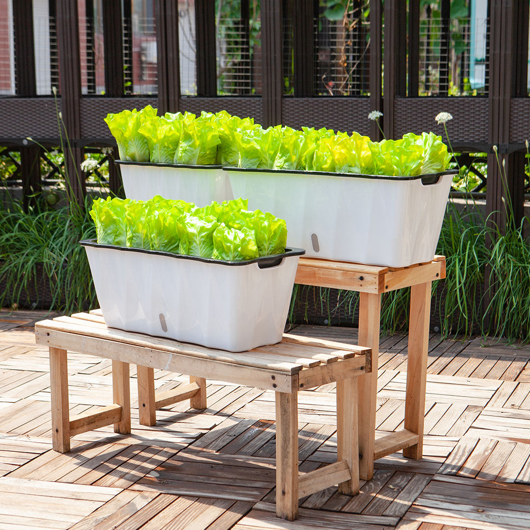 SOGA 35cm Small White Rectangular Flowerpot Vegetable Herb Flower Outdoor Plastic Box Garden Decor • LUZ-PlantBox3K