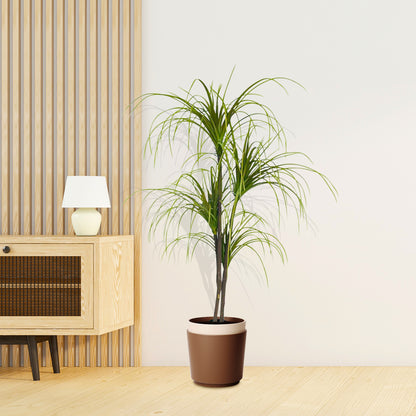 SOGA 2X 150cm Artificial Dracaena Plant Fake Potted, Simulation Tree Fake Plant Home Decor • LUZ-APlantFHL1504X2
