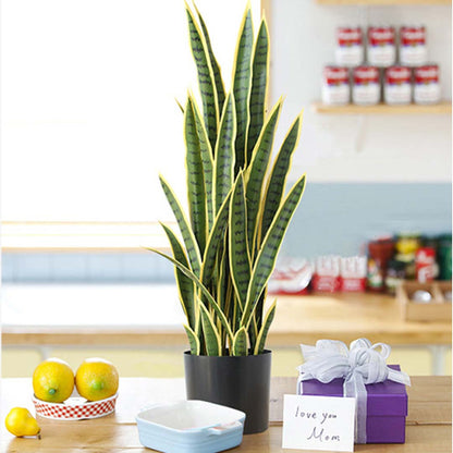 SOGA 95cm Artificial Indoor Yellow Edge Tiger Piran Fake Decoration Tree Flower Pot Plant • LUZ-APlantFH0105Y