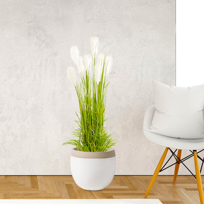 SOGA 4X 150cm Wheat Plume Grass Artificial Plant, Home Decor • LUZ-APlantFH6003X4