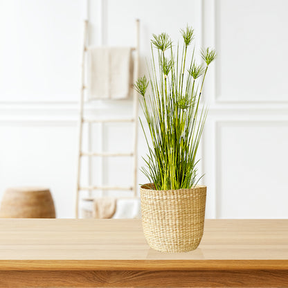 SOGA 2X 150cm Cyperus Papyrus Plant Tree Artificial Green Grass, Home Or Office Indoor Greenery Accent • LUZ-APlantFH60142X2