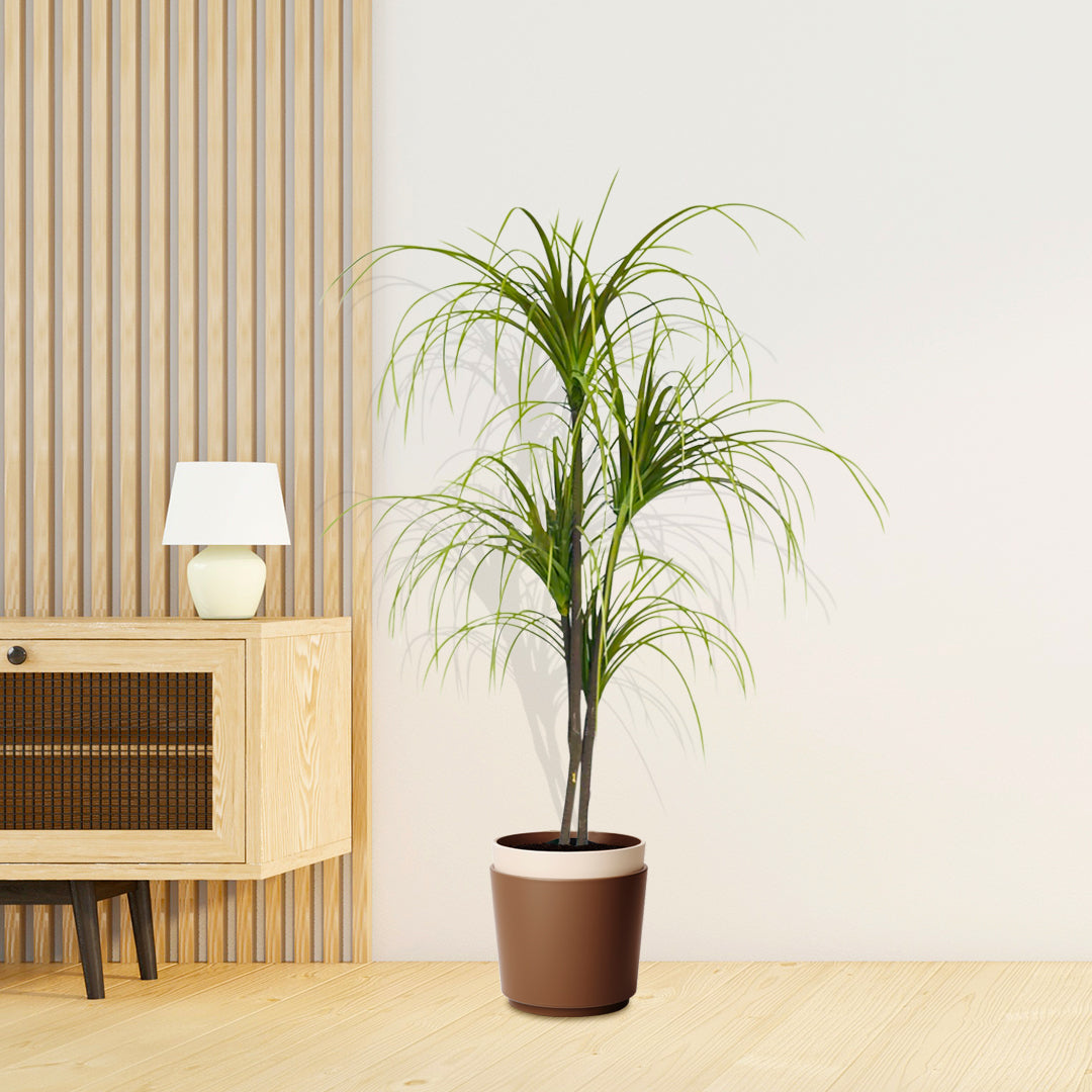 SOGA 150cm Artificial Dracaena Plant Fake Potted, Simulation Tree Fake Plant Home Decor • LUZ-APlantFHL1504