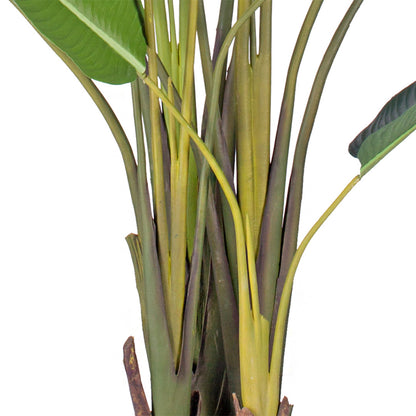SOGA 4X 220cm Artificial Giant Green Birds of Paradise Tree Fake Tropical Indoor Plant Home Office Decor • LUZ-APlantM22013X4