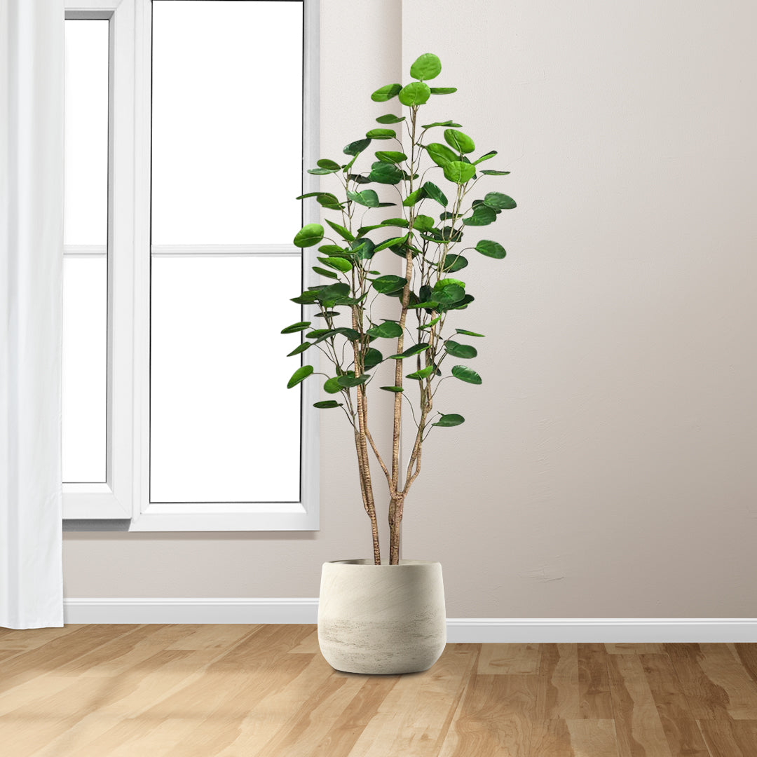 SOGA 4X 180cm Plastic Potted Polyscias Scutellaria Plant Home Garden Artificial Tree, Home Decor • LUZ-APlantFHJQD18080X4