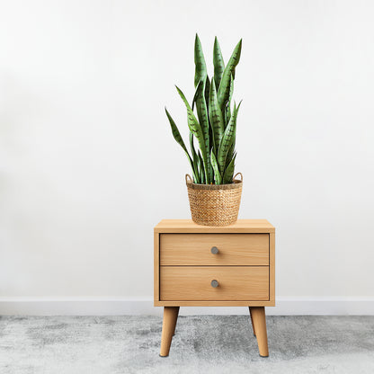 SOGA 2X 97cm Sansevieria Snake Artificial Plants with Black Plastic Planter Greenery, Home Office Decor • LUZ-APlantFH9712X2