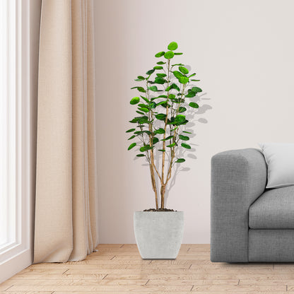 SOGA 150cm Plastic Potted Polyscias Scutellaria Plant Home Garden Artificial Tree, Home Decor • LUZ-APlantFHJQD150102